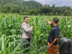 Sinergi Polri dan Petani di Lembar, Ketahanan Pangan Jadi Prioritas