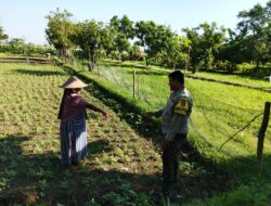 Polri di Lombok Barat Galakkan Ketahanan Pangan Skala Rumah Tangga