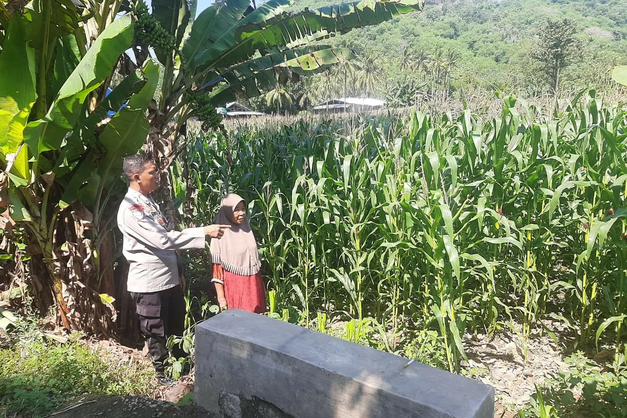 Polsek Lembar Dukung Ketahanan Pangan di Dusun Jelateng