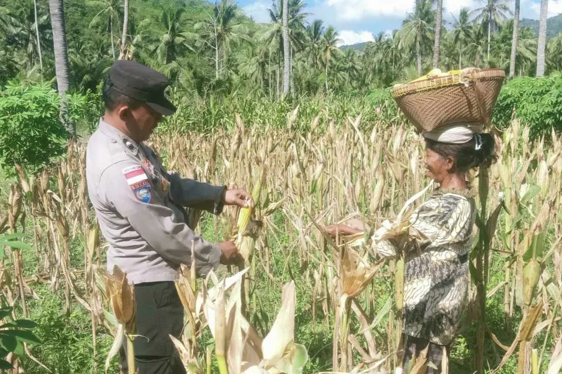 Bangun Pagi: Rahasia Sukses dan Bahagia Terungkap?