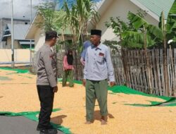 Dukung Program Ketahanan Pangan, Bhabinkamtibmas Desa Daha Laksanakan Pemantauan Hasil Panen Jagung Warga