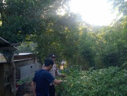 Bhabinkamtibmas Desa Senayan Galakkan Pemanfaatan Pekarangan untuk Tanaman Pangan Bergizi