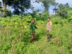 Bhabinkamtibmas Kandai 1 Dukung Pemanfaatan Pekarangan untuk Ketahanan Pangan Menuju Indonesia Emas 2045