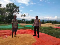 Bhabinkamtibmas Desa Cempi Jaya Lakukan Pemantauan Hasil Panen Warga Dukung Program Ketahanan Pangan Nasional