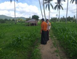 Bhabinkamtibmas Aktif Dukung Ketahanan Pangan di Kuripan Timur
