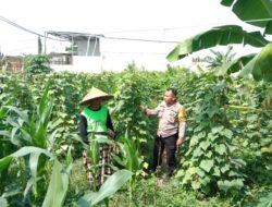 Bhabinkamtibmas Ajak Warga Optimalkan Pekarangan untuk Ketahanan Pangan di Labuapi