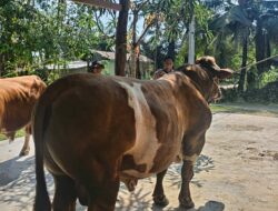 Ketua Bhayangkari Daerah Bengkulu Salurkan Bantuan Kemanusiaan bagi Korban Gempa