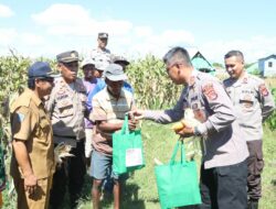 Presiden RI, Pimpin Panen Raya Jagung Kuartal II Serentak Secara Virtual, Kapolres Bima dan Forkompinda Kabupaten Bima Panen Jagung di Desa Rato