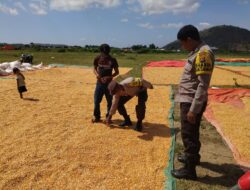Bhabinkamtibmas Polsek Sape Laksanakan Patroli Sambang Dukung Program Ketahanan Pangan Nasional