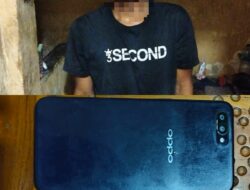 Curi Handphone Saat Korban Tidur, Seorang Pria di Utan Berhasil Diringkus Polisi