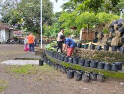 Polres Loteng Dukung Penuh Pekarangan Lahan Bergizi Milik Warga di Desa Labulia.