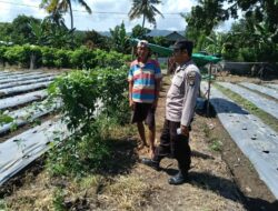 Bhabinkamtibmas Desa Bukit Damai Dampingi Warga Manfaatkan Lahan untuk Tanaman Pangan Bergizi