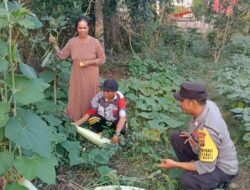 Dukung Program Ketahanan Pangan Nasional, Bhabinkamtibmas Polsek Monta Tinjau Lahan Sayur Warga Binaan