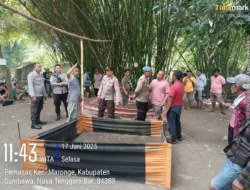 Polsek Plampang Bubarkan Kembali Kegiatan Sabung Ayam di Desa Pemasar 