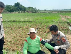Bripda Iqbal dan Kisah Pengabdian di Ladang