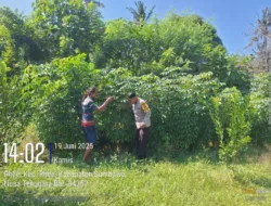 Bhabinkamtibmas Desa Luk Dorong Warga Manfaatkan Lahan untuk Ketahanan Pangan