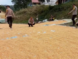 Mendukung Penuh Program Ketahanan Pangan Nasional Kapolsek Donggo Monitoring Stock Jagung