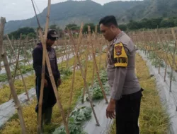 Bhabinkamtibmas Desa Senayan Dampingi Pengelolaan Pekarangan Pangan Bergizi untuk Dukung Ketahanan Pangan