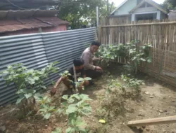 Bhabinkamtibmas Desa Seminar Salit Lakukan Monitoring Ketahanan Pangan, Dukung Program Asta Cita Swasembada Pangan