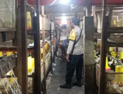 Ketahanan Pangan Nasional, Bhabinkamtibmas Ombe Baru Turun Langsung ke Peternakan
