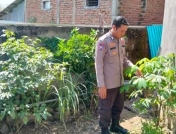 Edukasi Warga Binaan Manfaatkan Lahan Pekarangan Upaya Bhabinkamtibmas Polsek Woha Dukung Ketahanan Pangan Nasional