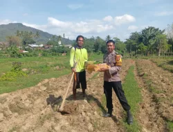 Jelang Hari Bhayangkara ke-79, Brigadir Kamaludin Bagikan 100 Bibit Ternak dan 1.000 Bibit Tanaman Bergizi kepada Warga Desa Sermong