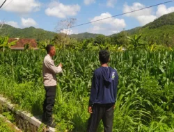 Polri dan Petani Dusun Jelateng Baru Bersinergi Jaga Ketahanan Pangan