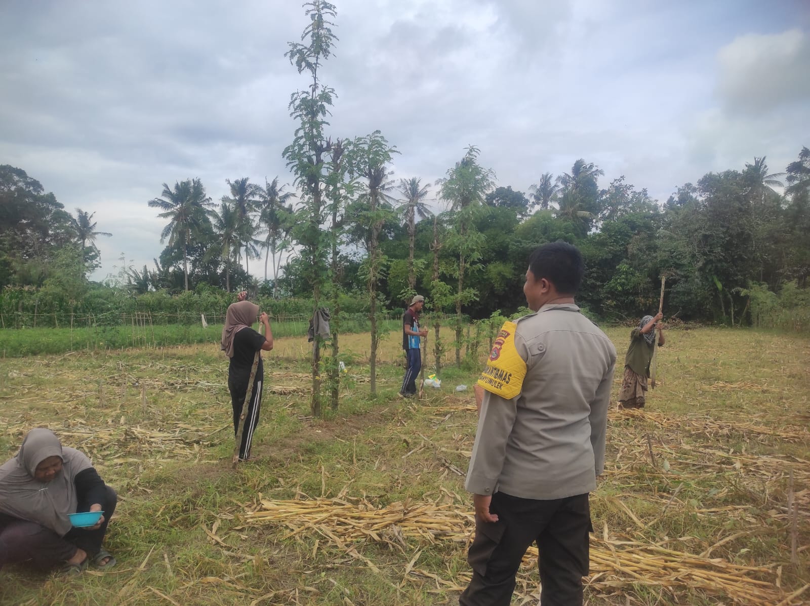 Ketahanan Pangan Banyumulek: Polisi Aktif Dampingi Petani Jagung