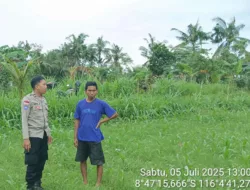 Pekarangan Jadi Lumbung Gizi: Inisiatif Polri di Dusun Sayong, Sekotong