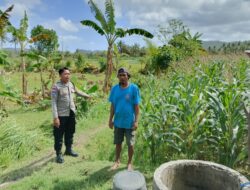 Bhabinkamtibmas Cendi Manik Dampingi Petani Jagung Dukung Ketahanan Pangan