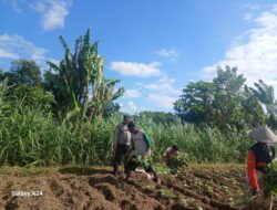 Polri Sambangi Petani Dusun Pendem Baru, Dorong Pemanfaatan Lahan Pekarangan