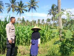 Sinergi Polri dan Petani Eyat Mayang Perkuat Ketahanan Pangan Nasional