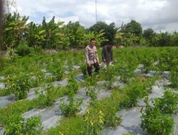 Polri Ajak Petani Dusun Tegal Manfaatkan Lahan Kosong untuk Swasembada Pangan