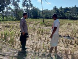Polri dan Warga Kuripan Bangun Ketahanan Pangan dari Rumah