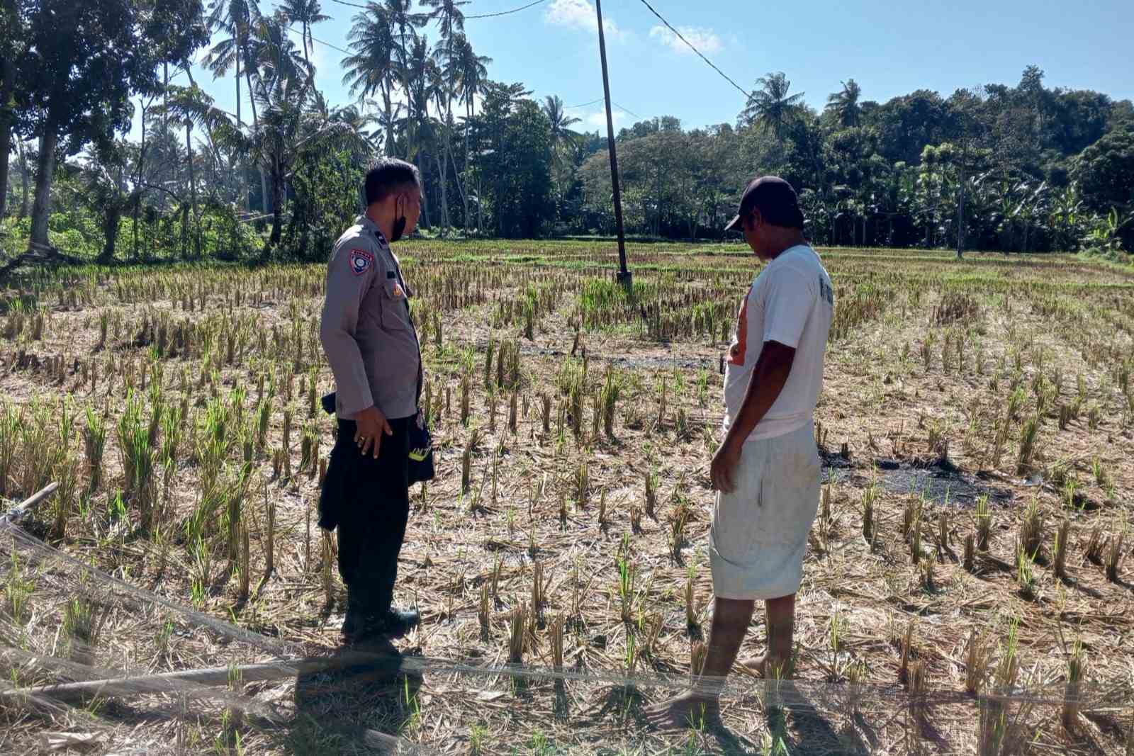 Polri dan Warga Kuripan Bangun Ketahanan Pangan dari Rumah