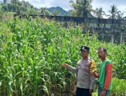 Polsek Sekotong Galakkan Pekarangan Pangan Bergizi di Dusun Pelangan Tengah