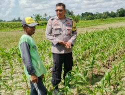 Bhabinkamtibmas Telagawaru Ajak Petani Wujudkan Swasembada Pangan Keluarga