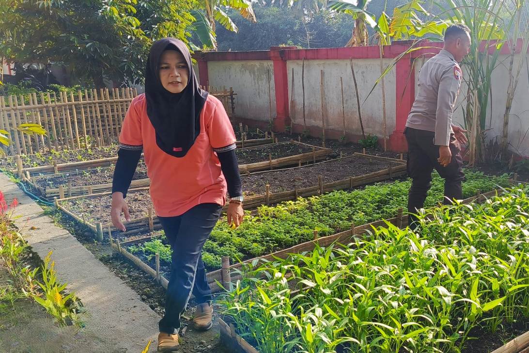 KWT Dusun Pemangket Ubah Pekarangan Jadi Kebun Sayur Produktif di Kuripan Utara