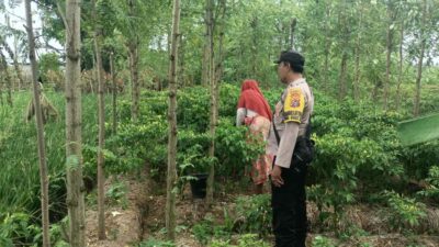 Sinergi Polri dan Petani di Ombe Baru, Perkuat Ketahanan Pangan Lokal