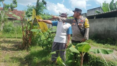 Langkah Nyata Desa Sandik Menuju Kemandirian Pangan Rumah Tangga