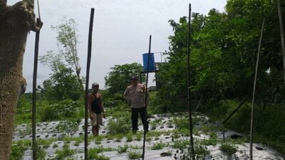 Bersama Petani Desa Jagaraga, Bhabinkamtibmas Bangun Kemandirian Pangan Keluarga