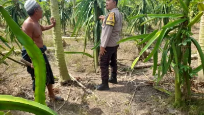 Ketahanan Pangan Diperkuat, Polres Lombok Barat Turun ke Ladang