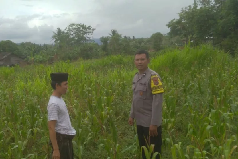 Ketahanan Pangan dan Keamanan Diperkuat di Sekotong Tengah Lewat DDS Bhabinkamtibmas