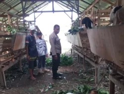 DDS Bhabinkamtibmas di Kuripan Timur, Perkuat Ketahanan Pangan Lokal