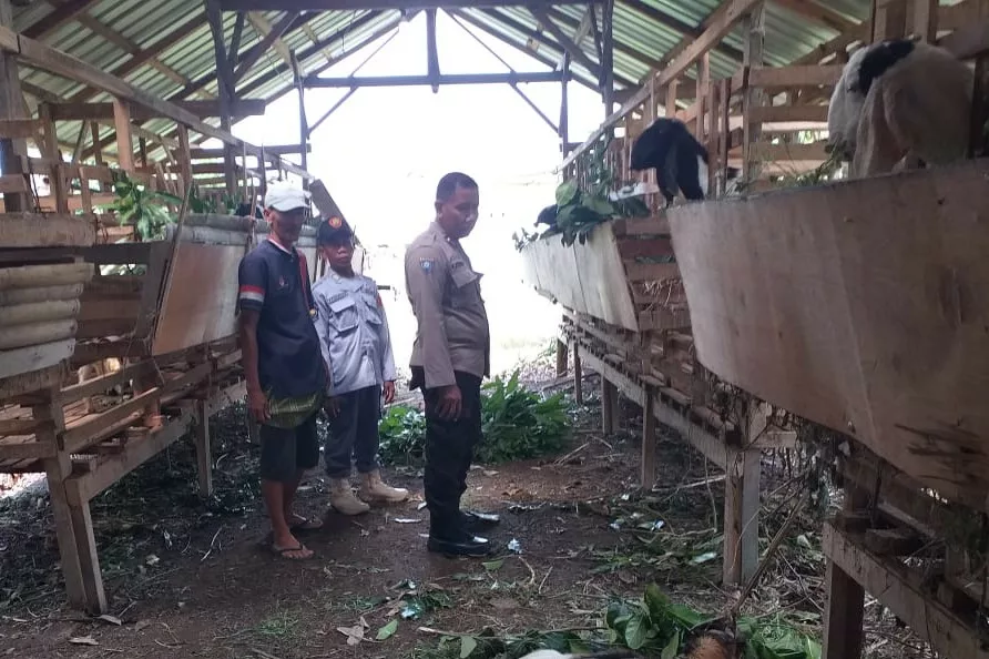 Kuripan Timur Dorong Kemandirian Pangan Lewat Pendampingan Warga