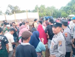 Tradisi Peresean Khas Sasak Aman Digelar di Mareje Timur, Lombok Barat