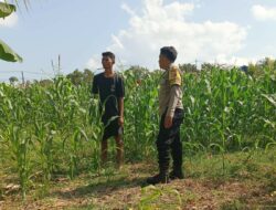 Ketahanan Pangan Dimulai dari Desa: Polsek Sekotong Perkuat Peran Bhabinkamtibmas