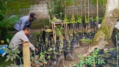 Polri Dorong Ketahanan Pangan dari Pekarangan Warga Kuripan Utara
