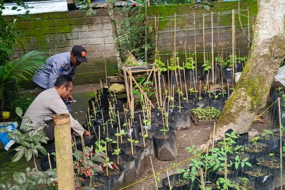Polri Dorong Ketahanan Pangan dari Pekarangan Warga Kuripan Utara