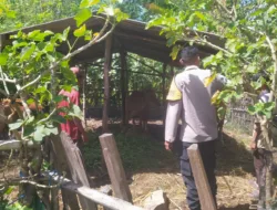 Optimalisasi Lahan Kosong, Polsek Sekotong Dukung Swasembada Pangan